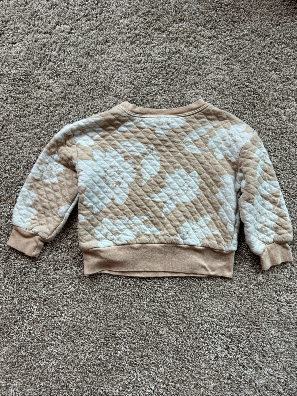 Carter’s Girls Quilted Floral Sweatshirt Shorts Set Size Outfit 3T Beige Blue - Picture 6 of 9